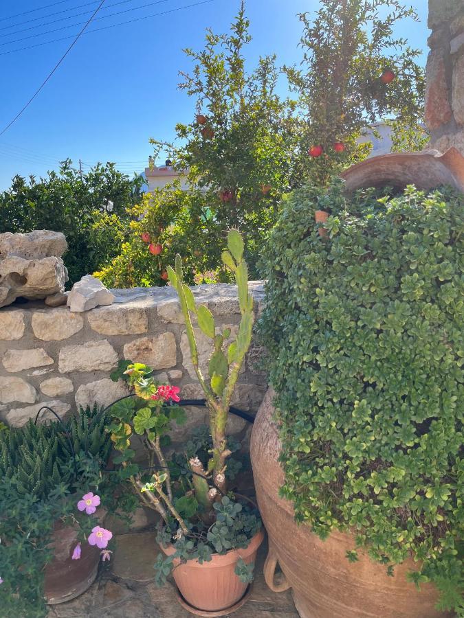 Katerina'S Rest Stone Ηouse Villa Charakas Exterior photo